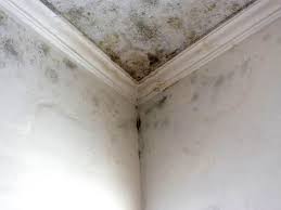 Best Residential Mold Inspection & Testing  in Stanberry, MO